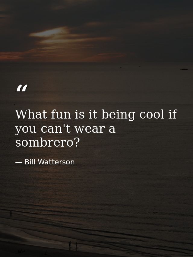 What fun is it being cool if you can't wear a sombrero? — Bill Watterson
