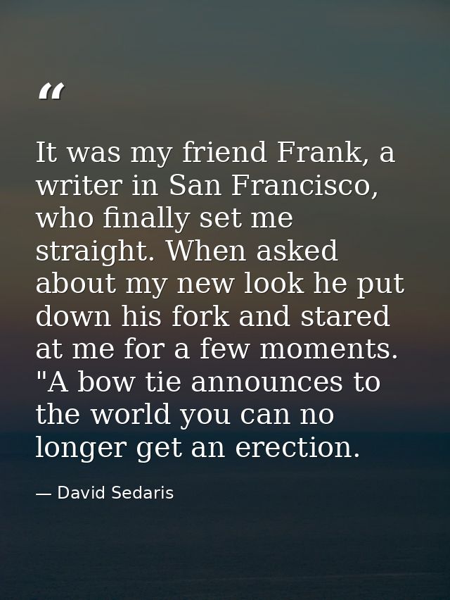 It was my friend Frank, a writer in San Francisco, who finally set me straight. When asked about my new look he put down — David Sedaris