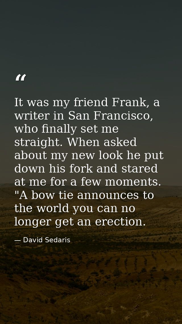 It was my friend Frank, a writer in San Francisco, who finally set me straight. When asked about my new look he put down — David Sedaris