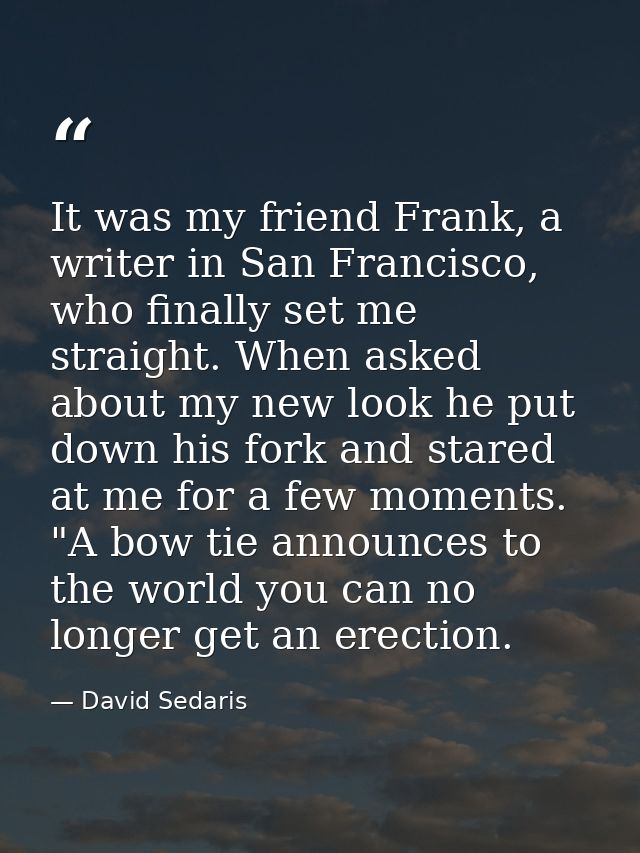 It was my friend Frank, a writer in San Francisco, who finally set me straight. When asked about my new look he put down — David Sedaris