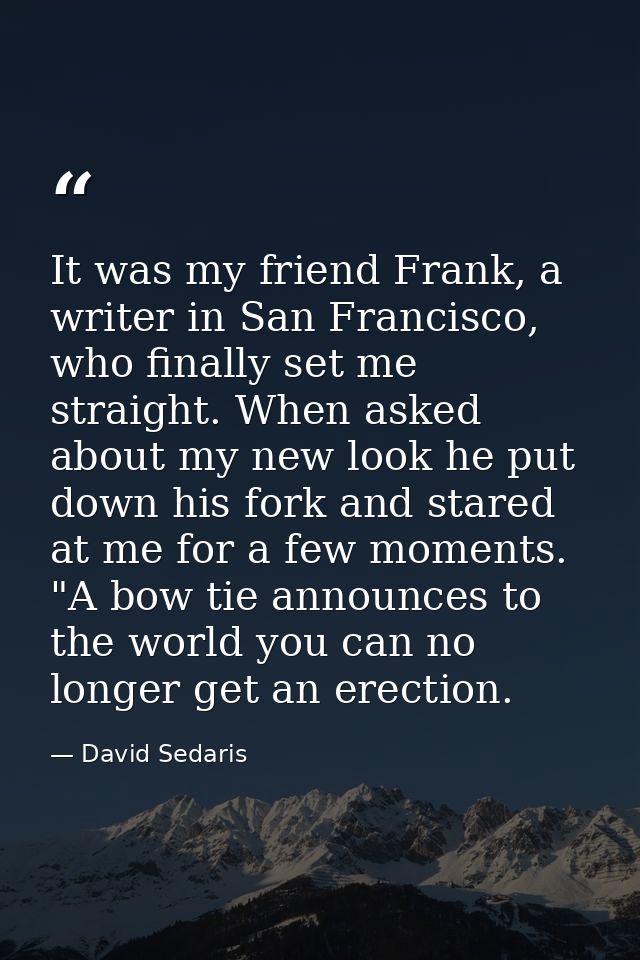 It was my friend Frank, a writer in San Francisco, who finally set me straight. When asked about my new look he put down — David Sedaris