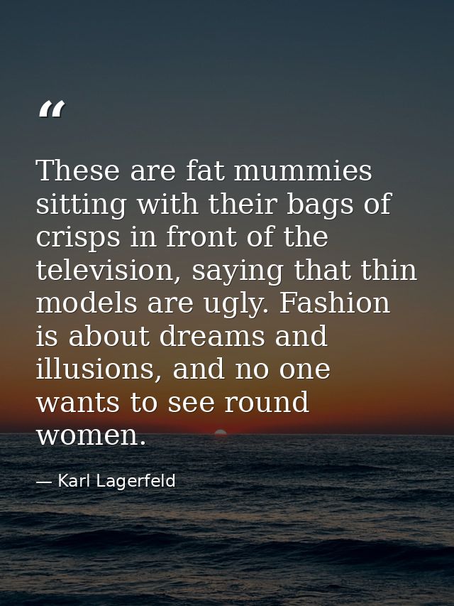 These are fat mummies sitting with their bags of crisps in front of the television, saying that thin models are ugly. Fa — Karl Lagerfeld