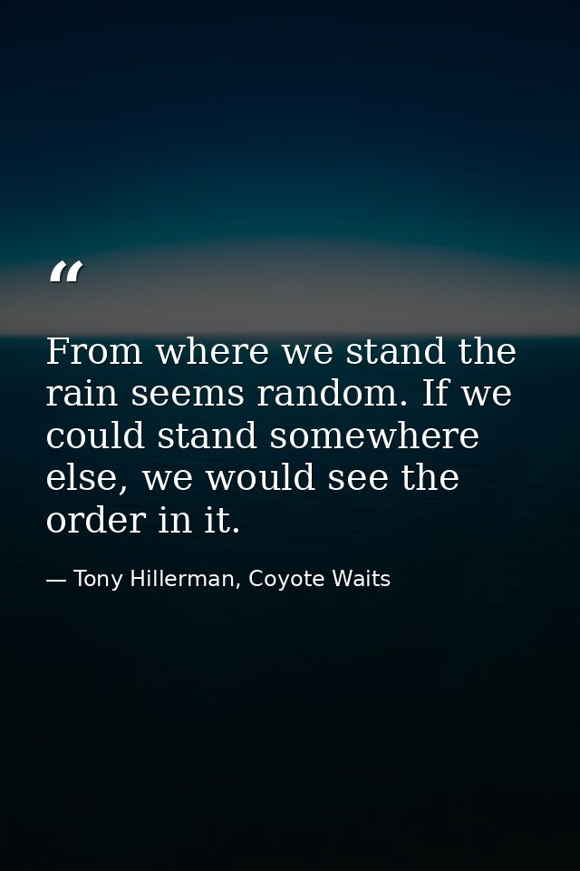From where we stand the rain seems random. If we could stand somewhere else, we would see the order in it. — Tony Hillerman, Coyote Waits