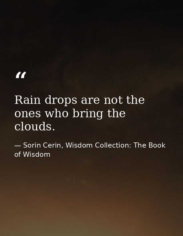 Rain drops are not the ones who bring the clouds. — Sorin Cerin, Wisdom Collection: The Book of Wisdom