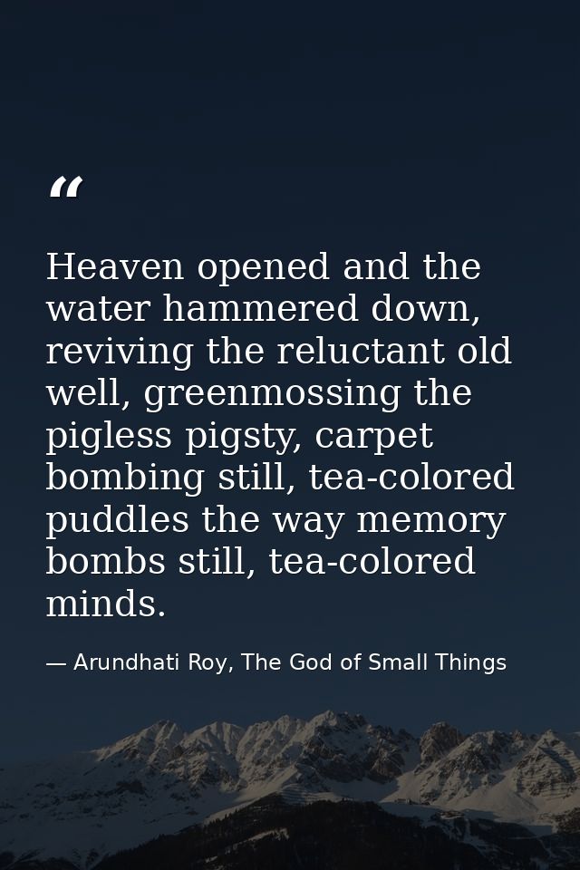Heaven opened and the water hammered down, reviving the reluctant old well, greenmossing the pigless pigsty, carpet bomb — Arundhati Roy, The God of Small Things