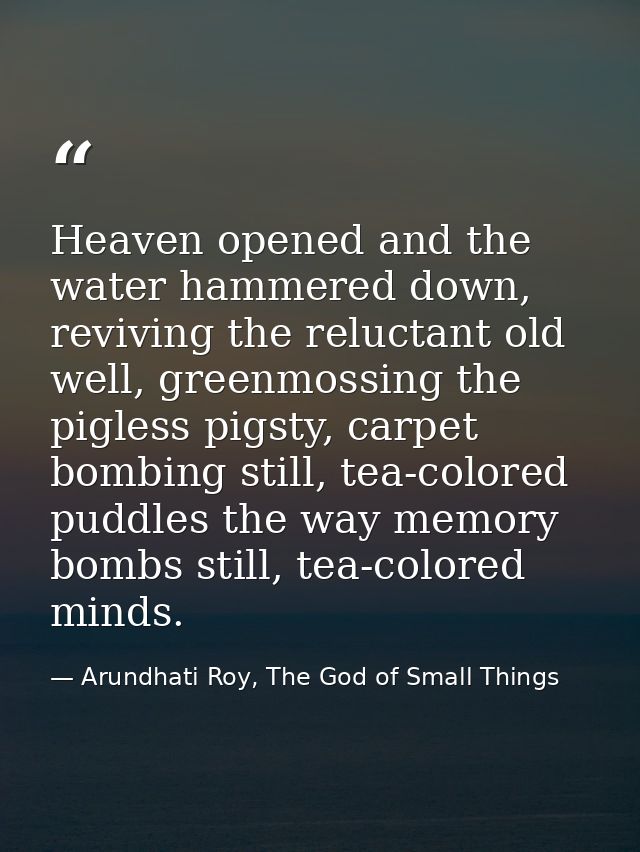 Heaven opened and the water hammered down, reviving the reluctant old well, greenmossing the pigless pigsty, carpet bomb — Arundhati Roy, The God of Small Things