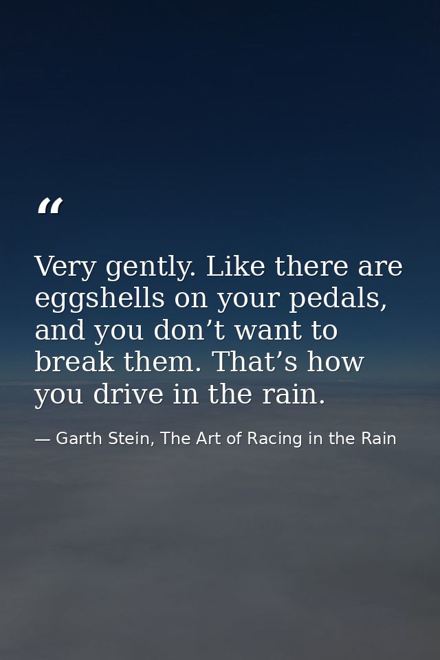 Very gently. Like there are eggshells on your pedals, and you don’t want to break them. That’s how you drive in the rain — Garth Stein, The Art of Racing in the Rain