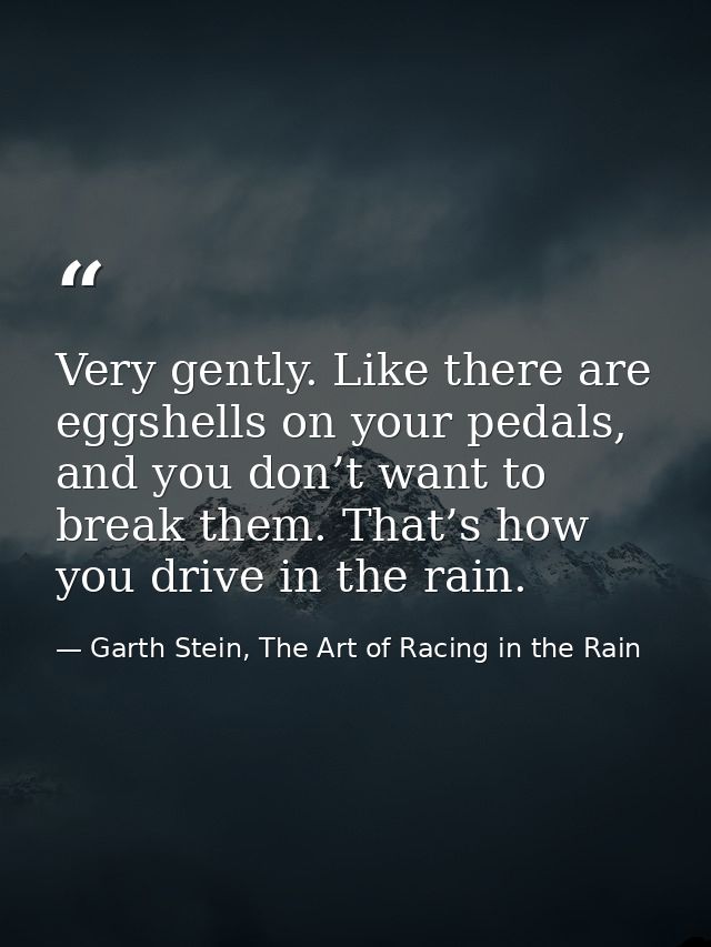Very gently. Like there are eggshells on your pedals, and you don’t want to break them. That’s how you drive in the rain — Garth Stein, The Art of Racing in the Rain
