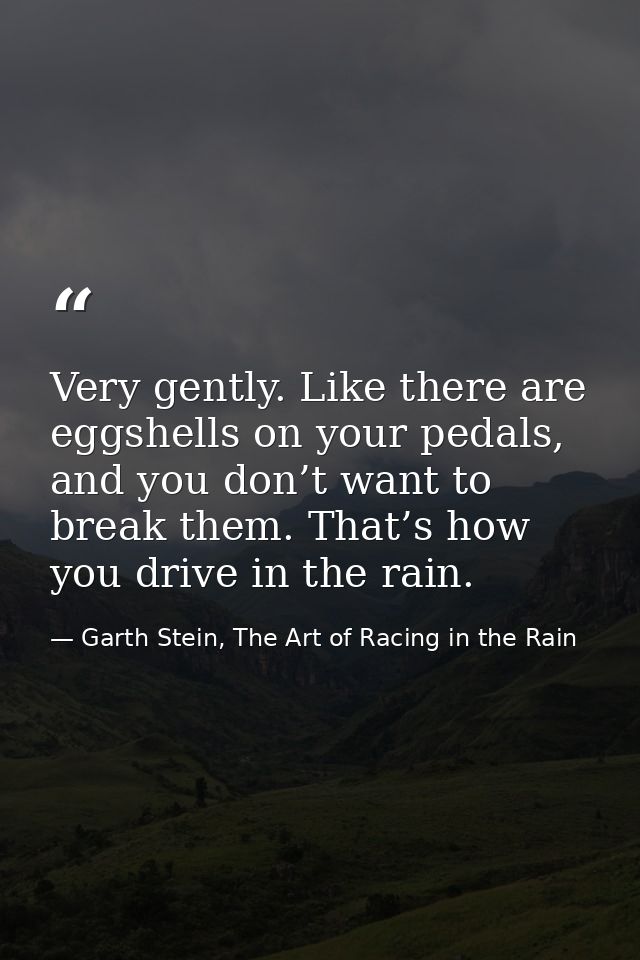 Very gently. Like there are eggshells on your pedals, and you don’t want to break them. That’s how you drive in the rain — Garth Stein, The Art of Racing in the Rain