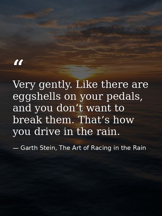 Very gently. Like there are eggshells on your pedals, and you don’t want to break them. That’s how you drive in the rain — Garth Stein, The Art of Racing in the Rain