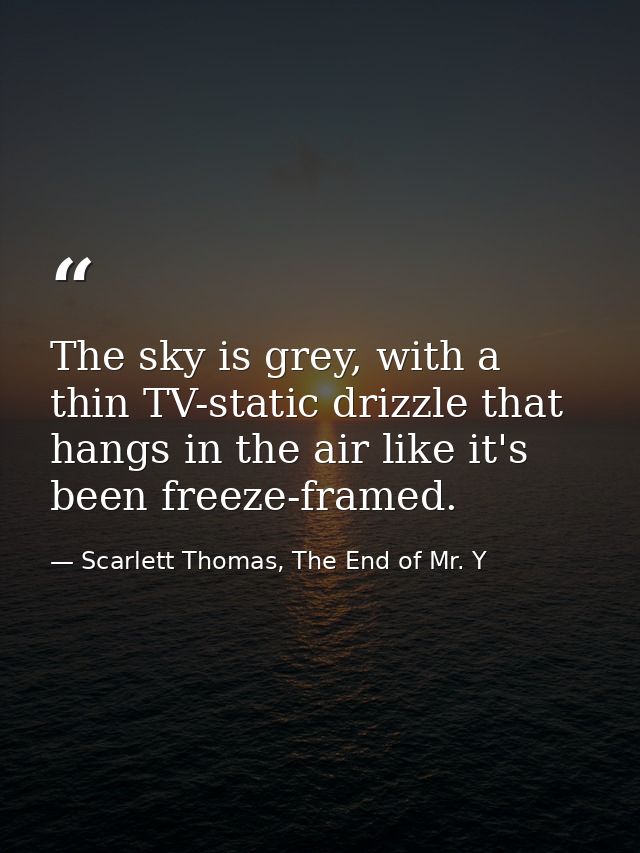 The sky is grey, with a thin TV-static drizzle that hangs in the air like it's been freeze-framed. — Scarlett Thomas, The End of Mr. Y