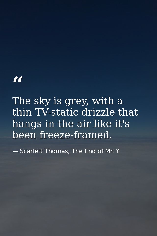 The sky is grey, with a thin TV-static drizzle that hangs in the air like it's been freeze-framed. — Scarlett Thomas, The End of Mr. Y