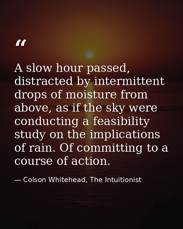 A slow hour passed, distracted by intermittent drops of moisture from above, as if the sky were conducting a feasibility — Colson Whitehead, The Intuitionist