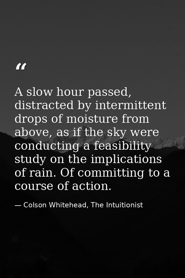 A slow hour passed, distracted by intermittent drops of moisture from above, as if the sky were conducting a feasibility — Colson Whitehead, The Intuitionist