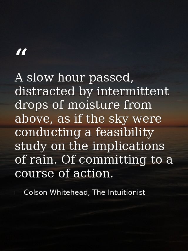 A slow hour passed, distracted by intermittent drops of moisture from above, as if the sky were conducting a feasibility — Colson Whitehead, The Intuitionist