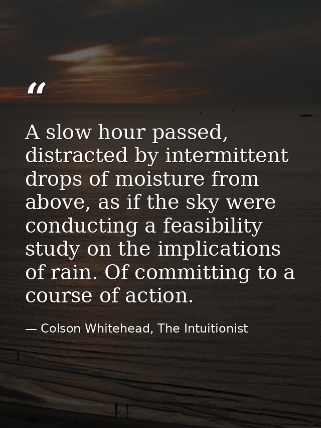 A slow hour passed, distracted by intermittent drops of moisture from above, as if the sky were conducting a feasibility — Colson Whitehead, The Intuitionist