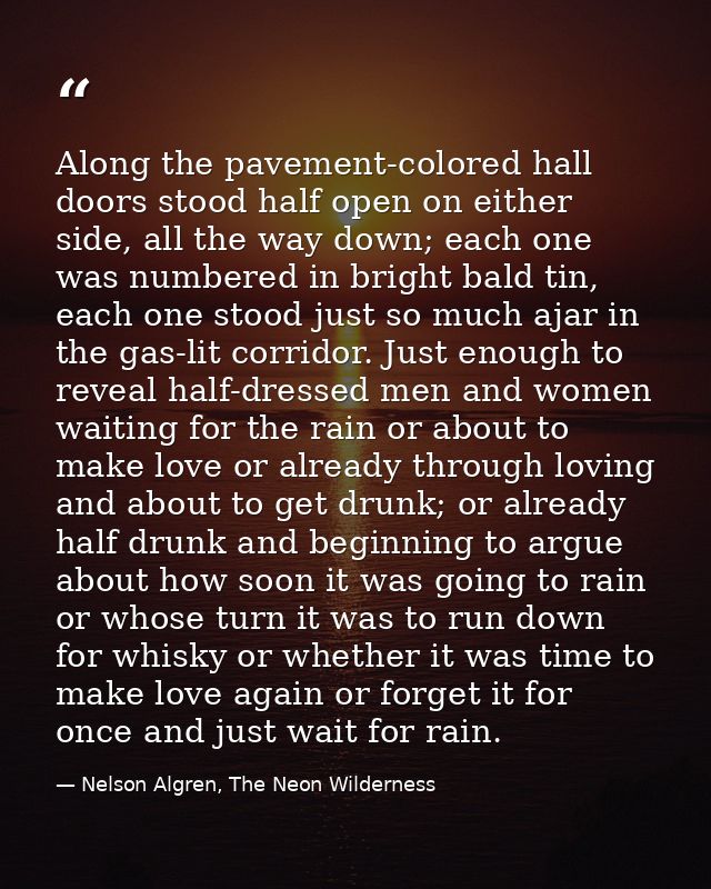 Along the pavement-colored hall doors stood half open on either side, all the way down; each one was numbered in bright  — Nelson Algren, The Neon Wilderness