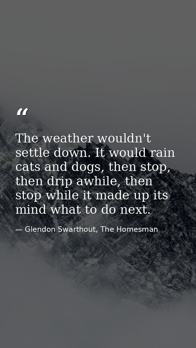 The weather wouldn't settle down. It would rain cats and dogs, then stop, then drip awhile, then stop while it made up i — Glendon Swarthout, The Homesman