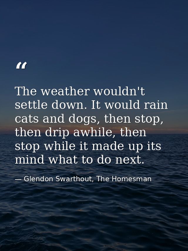 The weather wouldn't settle down. It would rain cats and dogs, then stop, then drip awhile, then stop while it made up i — Glendon Swarthout, The Homesman