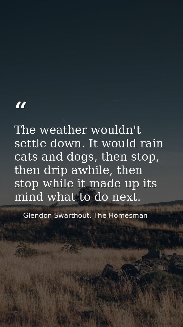 The weather wouldn't settle down. It would rain cats and dogs, then stop, then drip awhile, then stop while it made up i — Glendon Swarthout, The Homesman