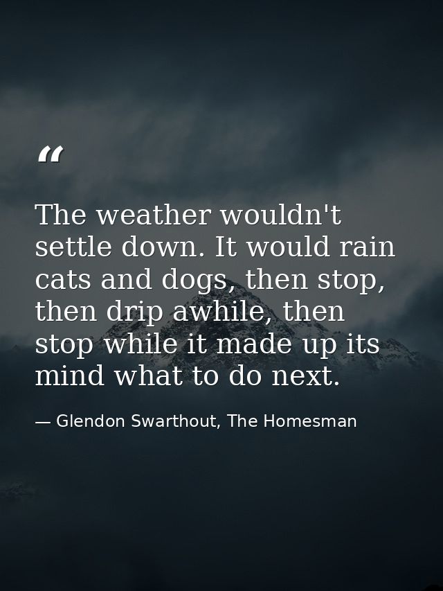 The weather wouldn't settle down. It would rain cats and dogs, then stop, then drip awhile, then stop while it made up i — Glendon Swarthout, The Homesman