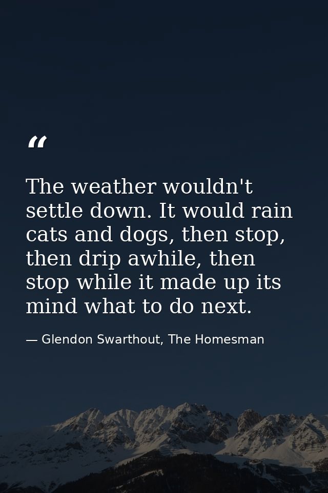 The weather wouldn't settle down. It would rain cats and dogs, then stop, then drip awhile, then stop while it made up i — Glendon Swarthout, The Homesman