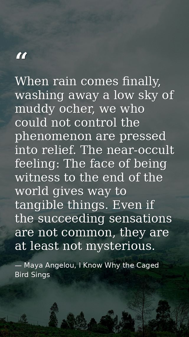 When rain comes finally, washing away a low sky of muddy ocher, we who could not control the phenomenon are pressed into — Maya Angelou, I Know Why the Caged Bird Sings