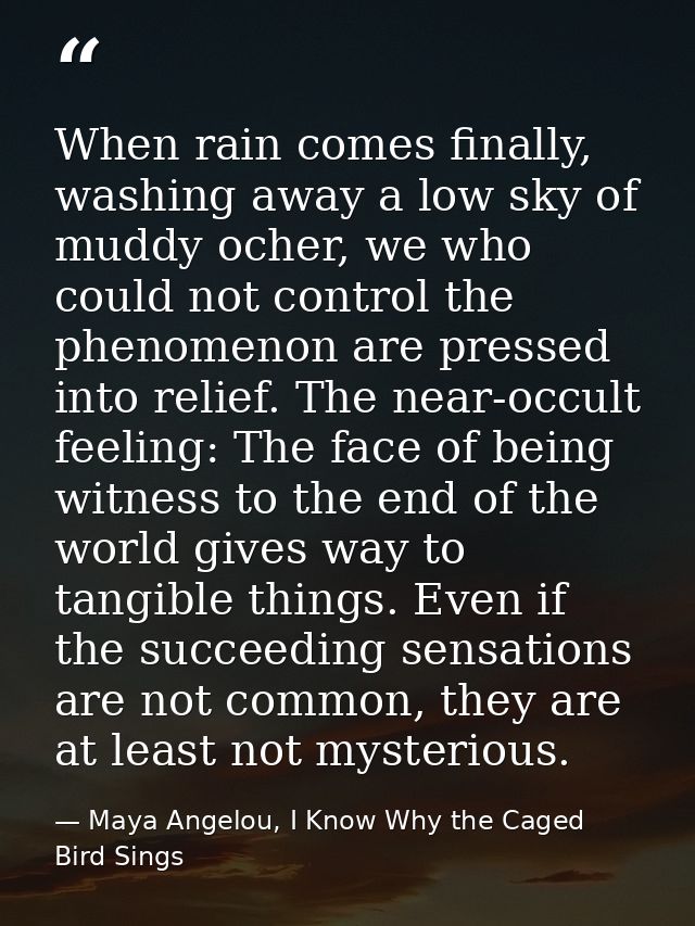 When rain comes finally, washing away a low sky of muddy ocher, we who could not control the phenomenon are pressed into — Maya Angelou, I Know Why the Caged Bird Sings