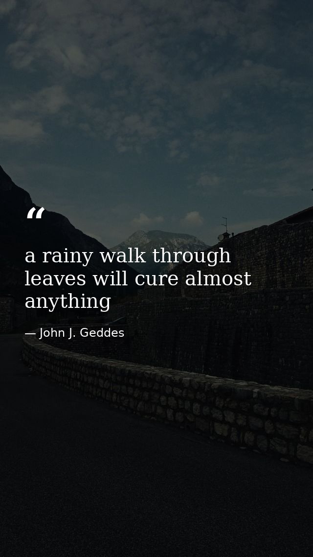 a rainy walk through leaves will cure almost anything — John J. Geddes