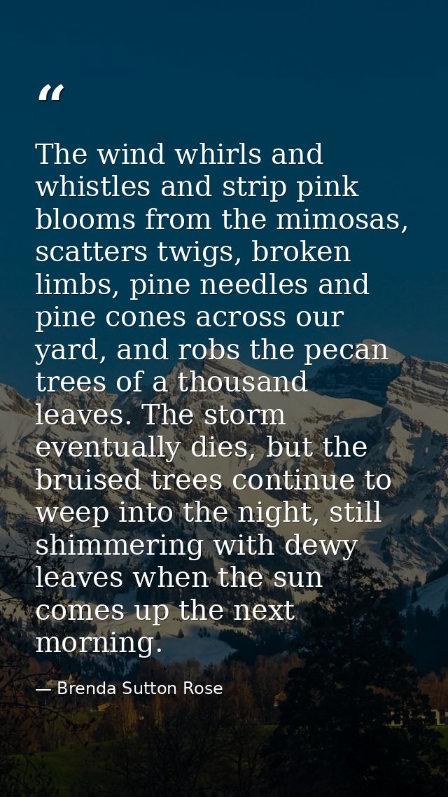 The wind whirls and whistles and strip pink blooms from the mimosas, scatters twigs, broken limbs, pine needles and pine — Brenda Sutton Rose