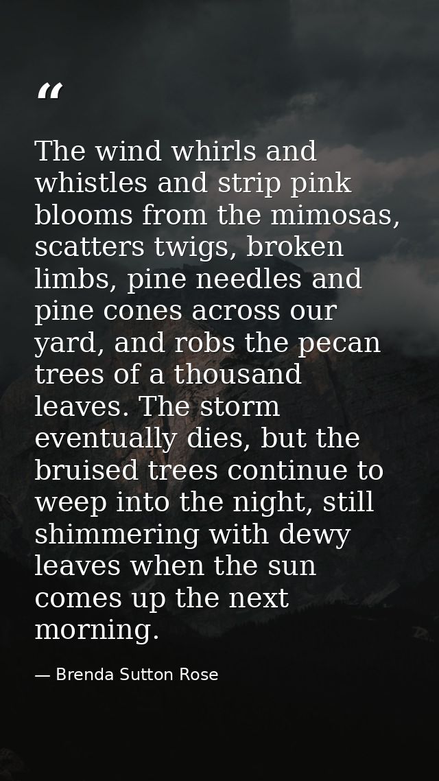 The wind whirls and whistles and strip pink blooms from the mimosas, scatters twigs, broken limbs, pine needles and pine — Brenda Sutton Rose