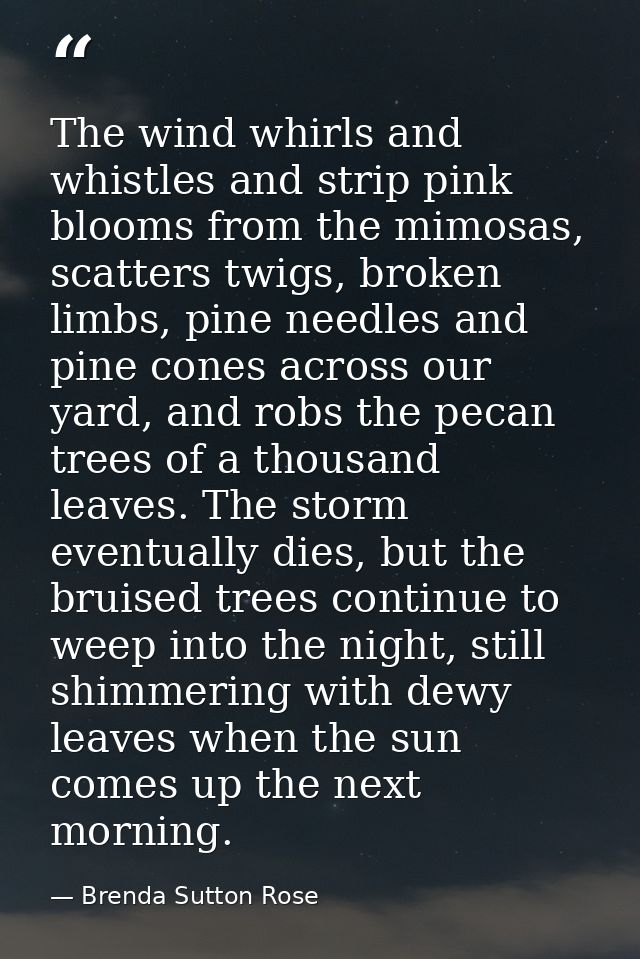 The wind whirls and whistles and strip pink blooms from the mimosas, scatters twigs, broken limbs, pine needles and pine — Brenda Sutton Rose