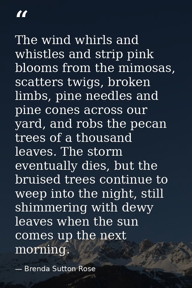 The wind whirls and whistles and strip pink blooms from the mimosas, scatters twigs, broken limbs, pine needles and pine — Brenda Sutton Rose