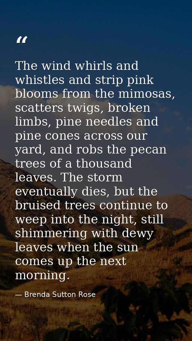 The wind whirls and whistles and strip pink blooms from the mimosas, scatters twigs, broken limbs, pine needles and pine — Brenda Sutton Rose
