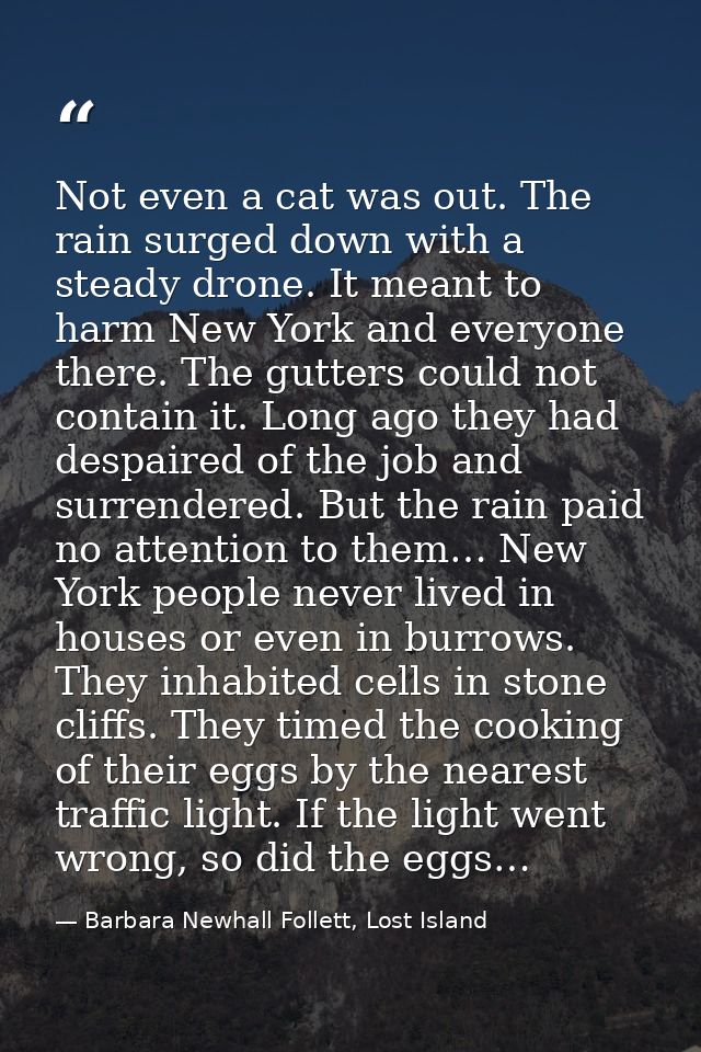 Not even a cat was out. The rain surged down with a steady drone. It meant to harm New York and everyone there. The gutt — Barbara Newhall Follett, Lost Island