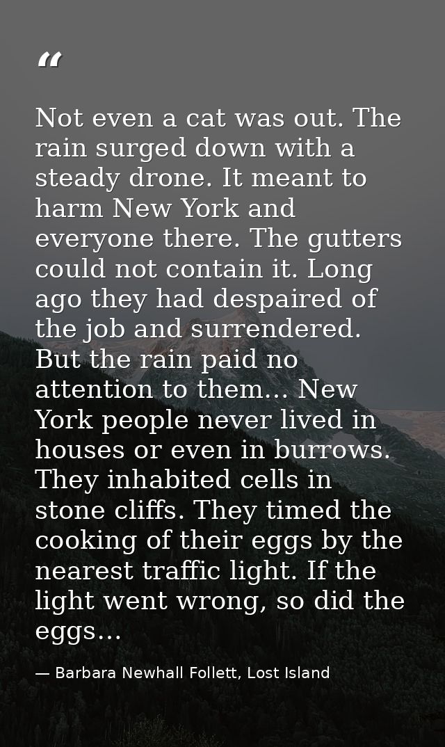 Not even a cat was out. The rain surged down with a steady drone. It meant to harm New York and everyone there. The gutt — Barbara Newhall Follett, Lost Island