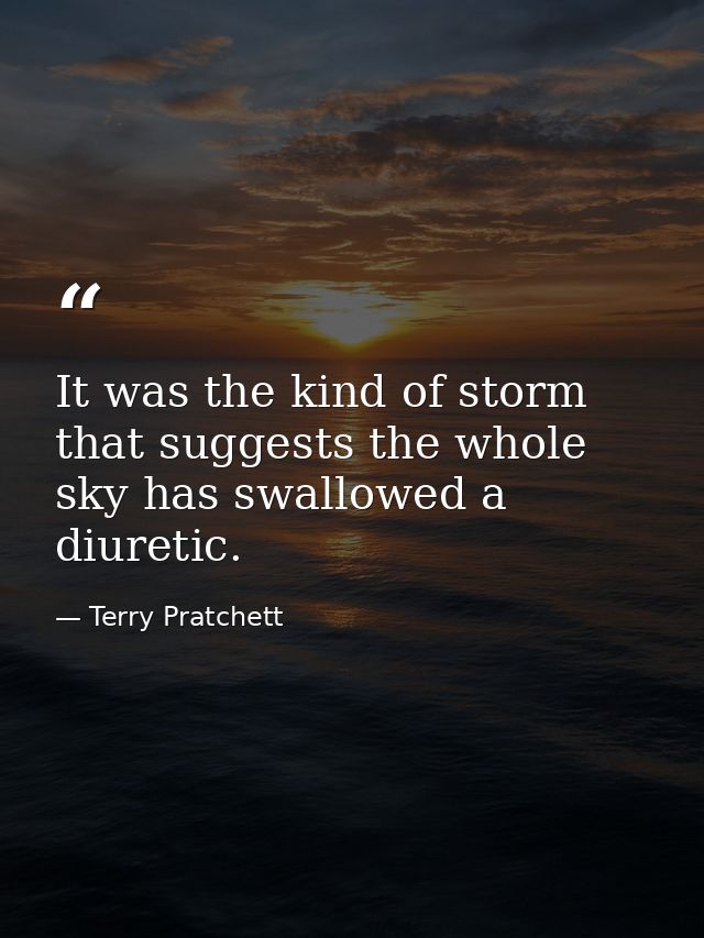 It was the kind of storm that suggests the whole sky has swallowed a diuretic. — Terry Pratchett