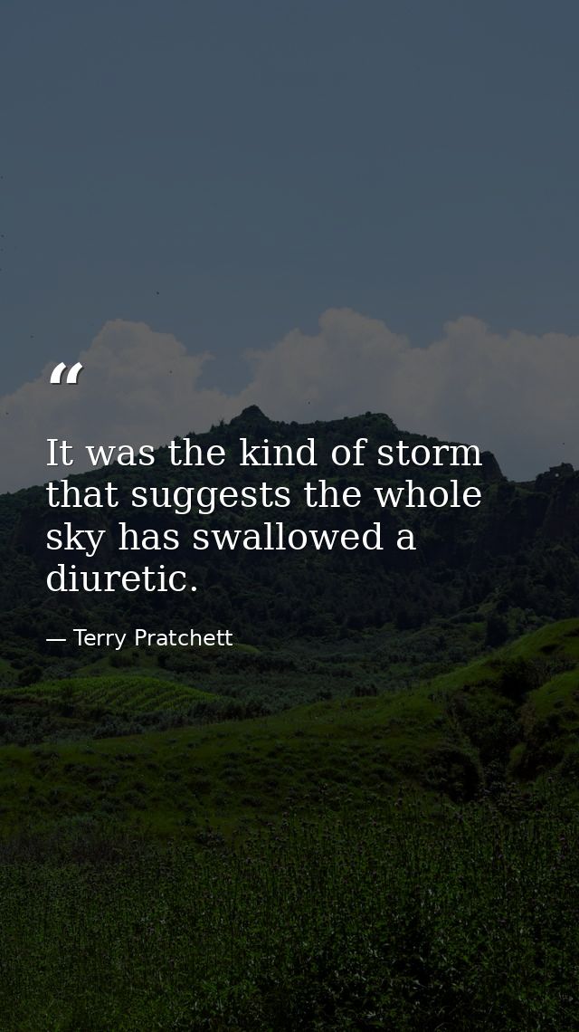 It was the kind of storm that suggests the whole sky has swallowed a diuretic. — Terry Pratchett