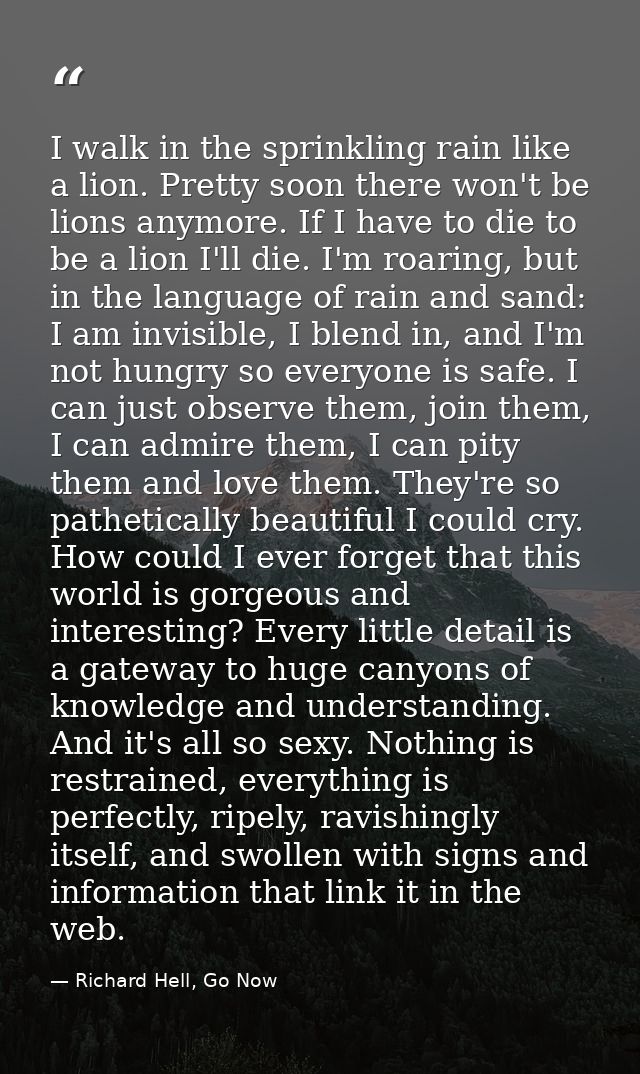 I walk in the sprinkling rain like a lion. Pretty soon there won't be lions anymore. If I have to die to be a lion I'll  — Richard Hell, Go Now