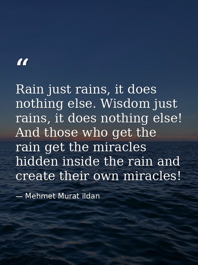 Rain just rains, it does nothing else. Wisdom just rains, it does nothing else! And those who get the rain get the mirac — Mehmet Murat ildan