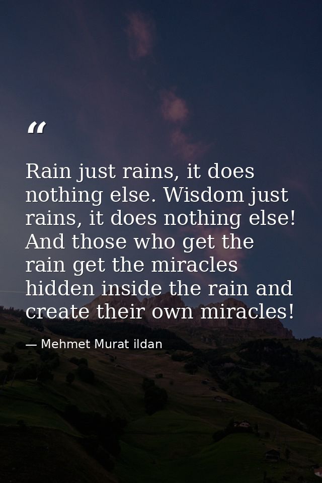 Rain just rains, it does nothing else. Wisdom just rains, it does nothing else! And those who get the rain get the mirac — Mehmet Murat ildan