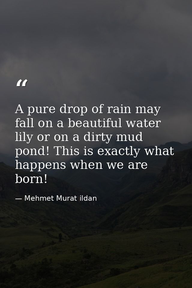A pure drop of rain may fall on a beautiful water lily or on a dirty mud pond! This is exactly what happens when we are  — Mehmet Murat ildan