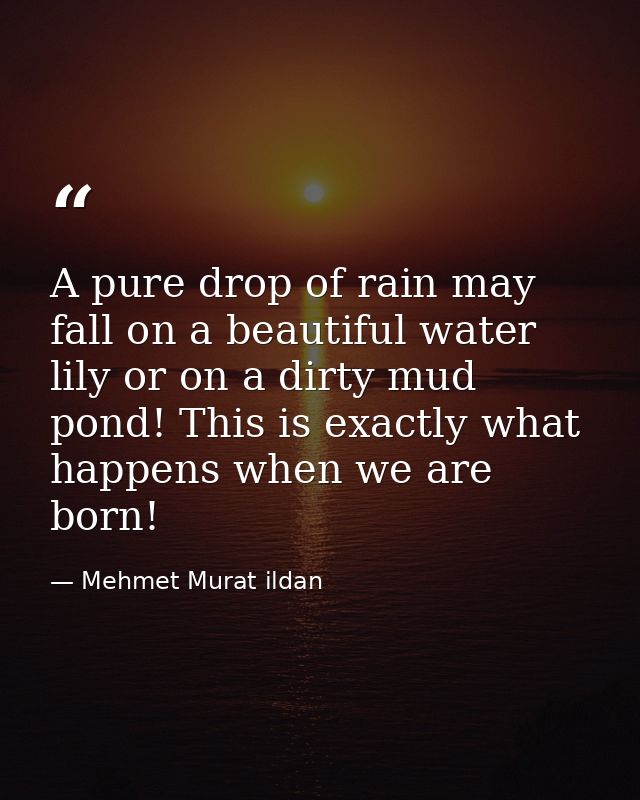 A pure drop of rain may fall on a beautiful water lily or on a dirty mud pond! This is exactly what happens when we are  — Mehmet Murat ildan