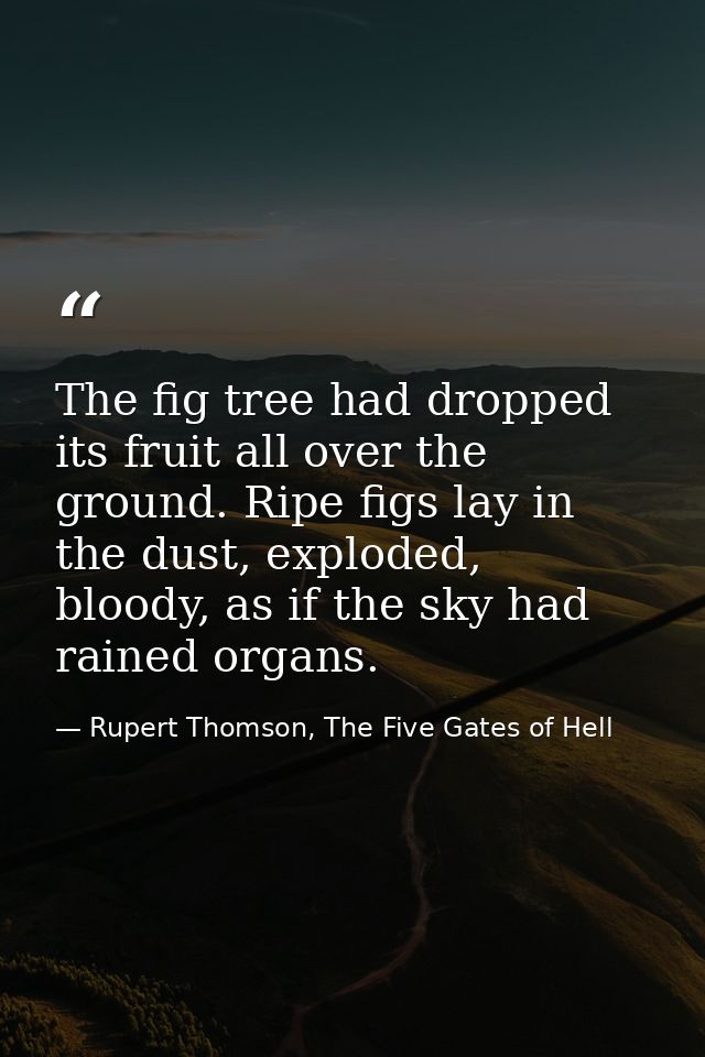 The fig tree had dropped its fruit all over the ground. Ripe figs lay in the dust, exploded, bloody, as if the sky had r — Rupert Thomson, The Five Gates of Hell