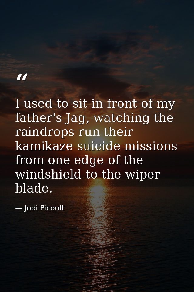 I used to sit in front of my father's Jag, watching the raindrops run their kamikaze suicide missions from one edge of t — Jodi Picoult