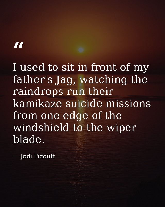 I used to sit in front of my father's Jag, watching the raindrops run their kamikaze suicide missions from one edge of t — Jodi Picoult