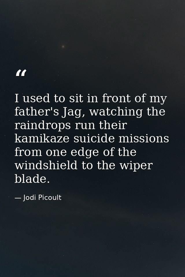 I used to sit in front of my father's Jag, watching the raindrops run their kamikaze suicide missions from one edge of t — Jodi Picoult