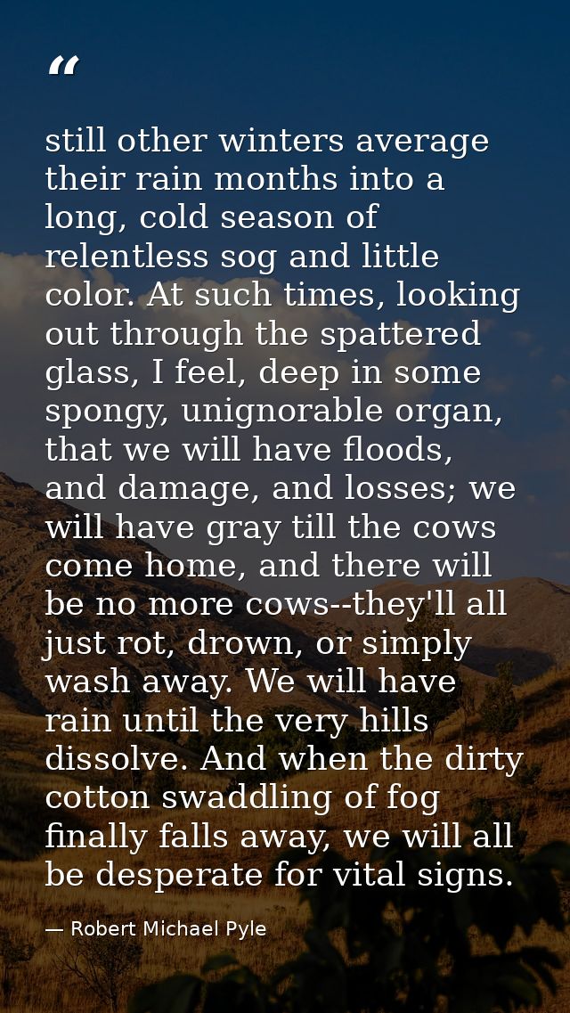 still other winters average their rain months into a long, cold season of relentless sog and little color. At such times — Robert Michael Pyle