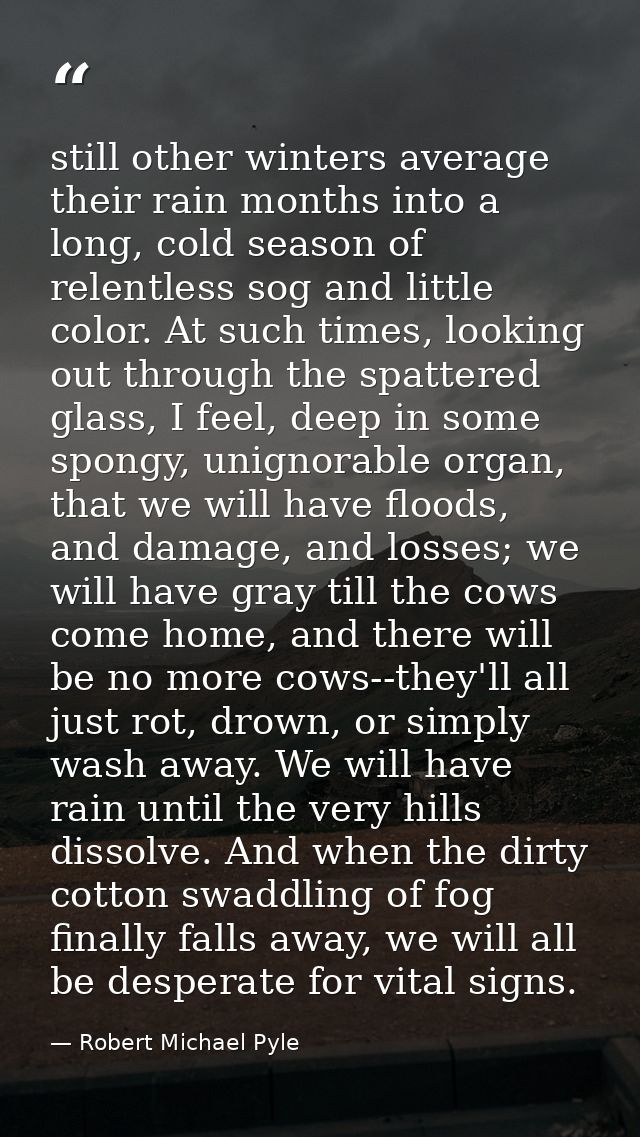 still other winters average their rain months into a long, cold season of relentless sog and little color. At such times — Robert Michael Pyle