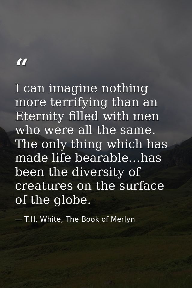 I can imagine nothing more terrifying than an Eternity filled with men who were all the same. The only thing which has m — T.H. White, The Book of Merlyn